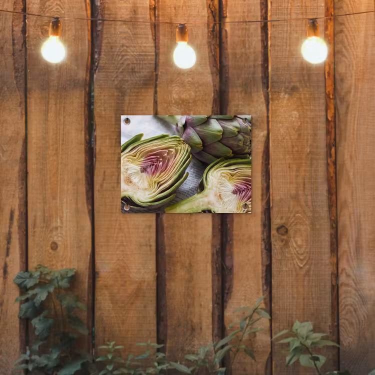 Tuinposter - Artisjok - Doorgesneden - Eten — 2