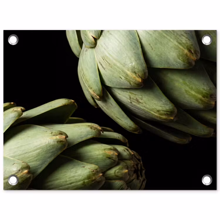 Tuinposter - Artisjok - Groen - Eten — 1