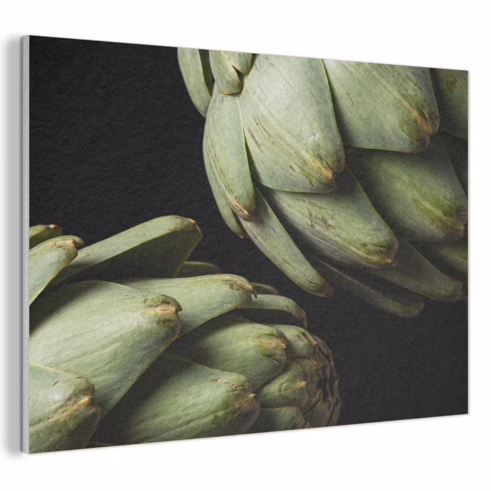 Akoestisch schilderij - Artisjok - Groen - Eten — 1