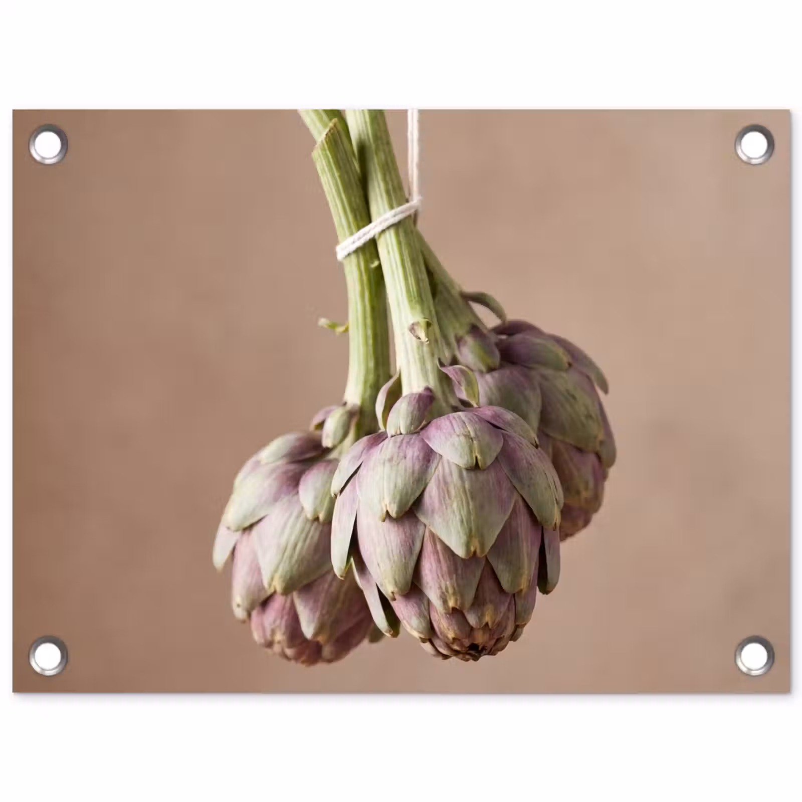 Tuinposter - Artisjokken - Hangend - Groenten — 1