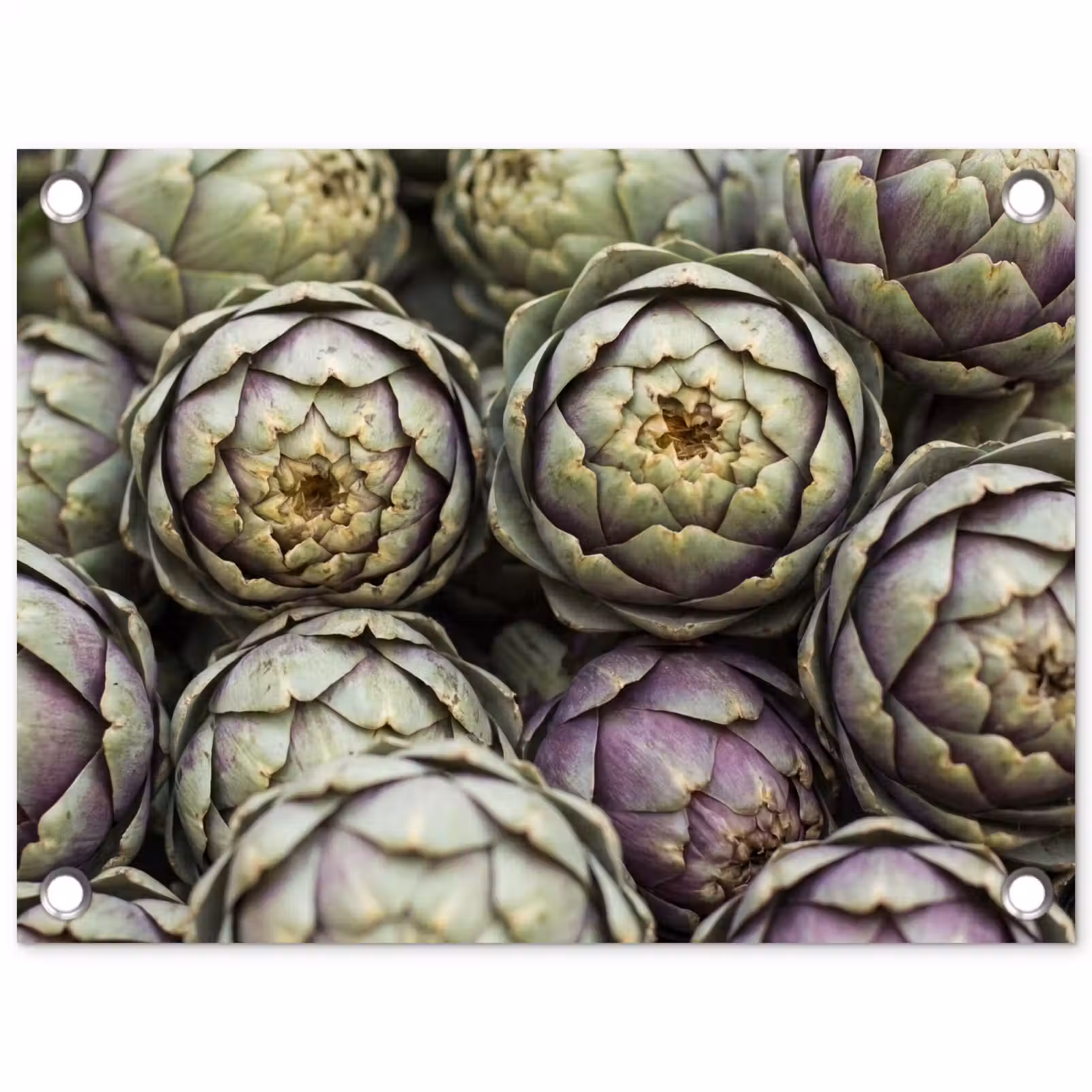 Tuinposter - Groenten - Vers - Eten — 1