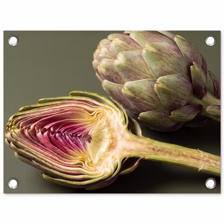 Tuinposter - Artisjok - Paars - Voedsel — 1