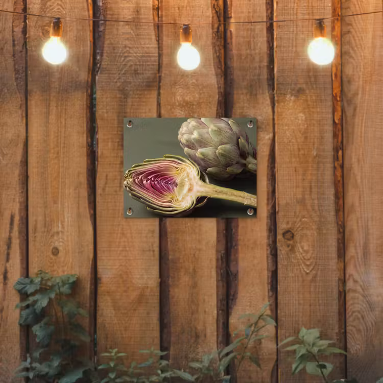 Tuinposter - Artisjok - Paars - Voedsel — 2