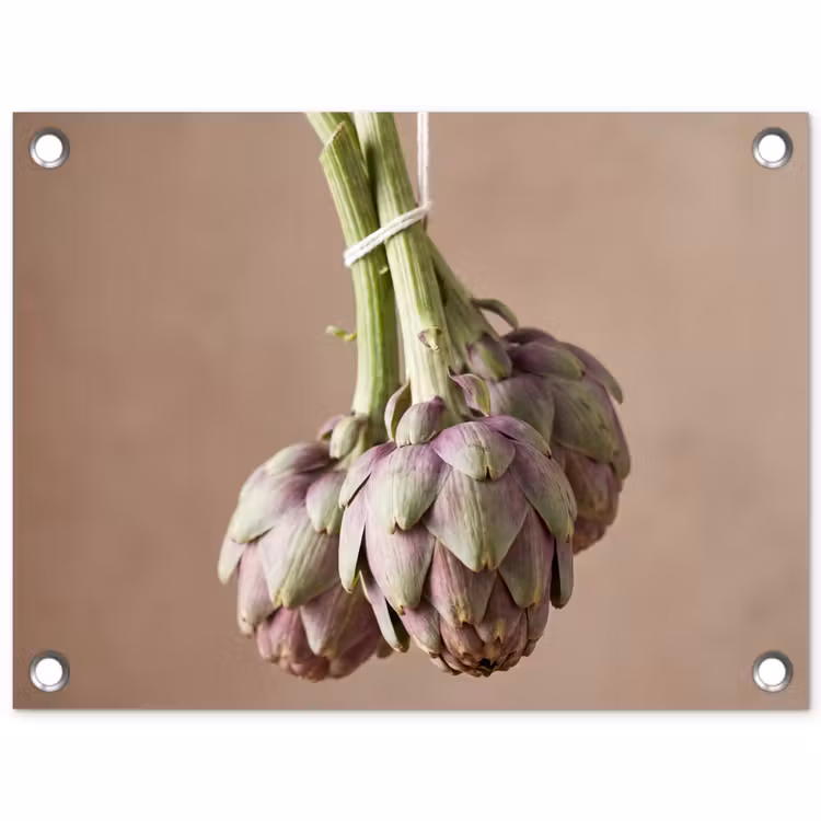 Tuinposter - Artisjokken - Hangend - Groenten — 1