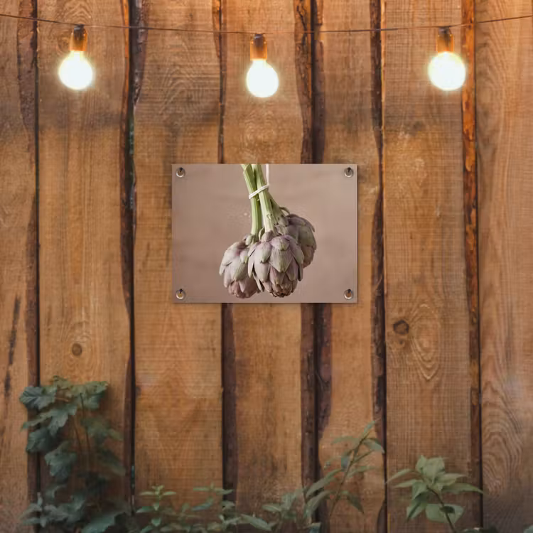 Tuinposter - Artisjokken - Hangend - Groenten — 2