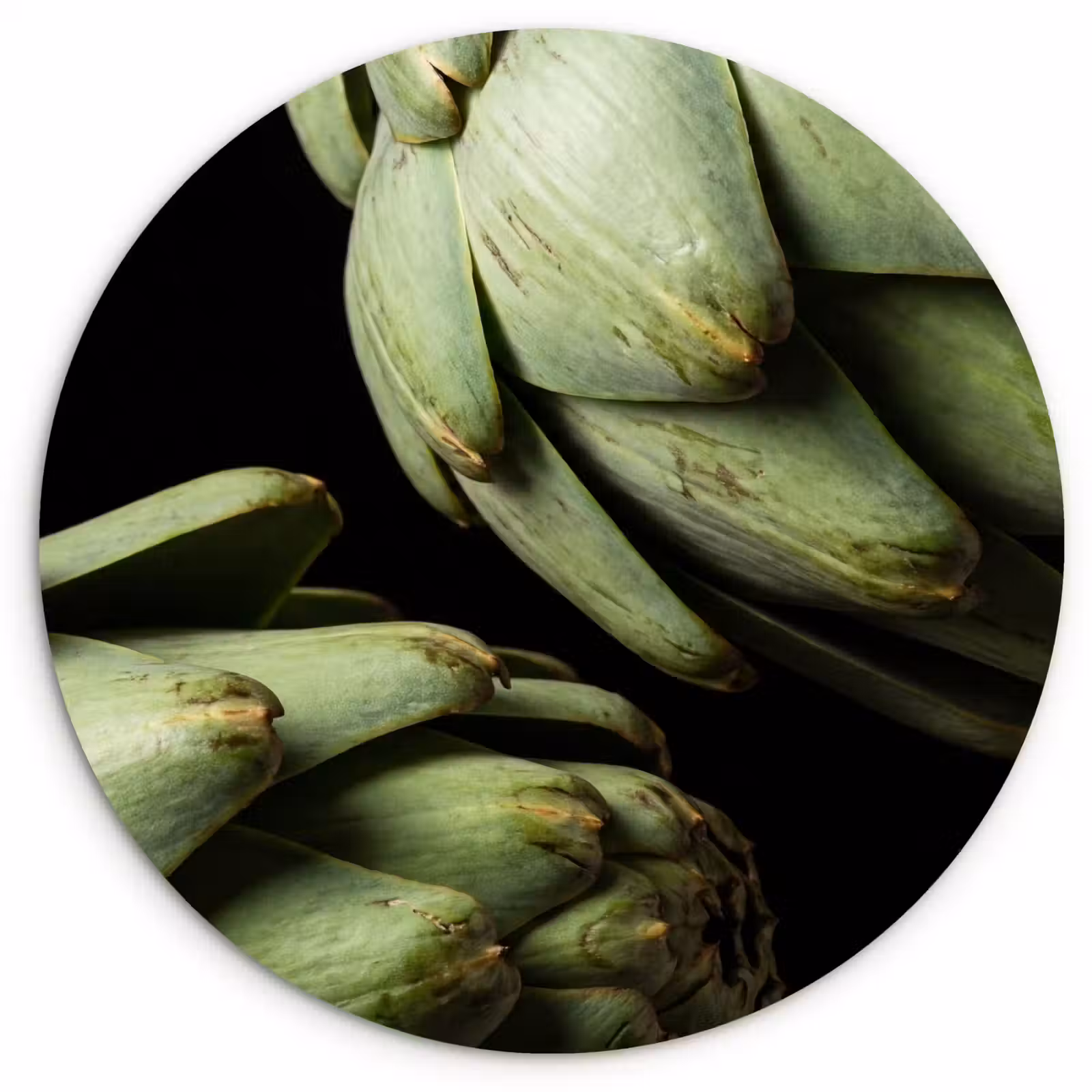 Wandcirkel - Glas - Artisjok - Groen - Eten — 1