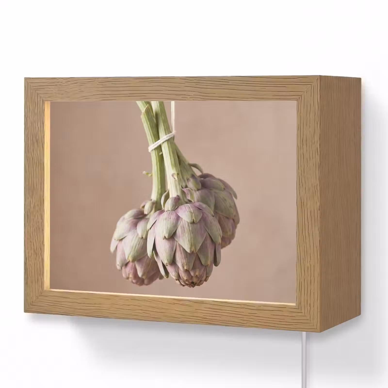 Lightbox - Wandlamp - Artisjokken - Hangend - Groenten — 1