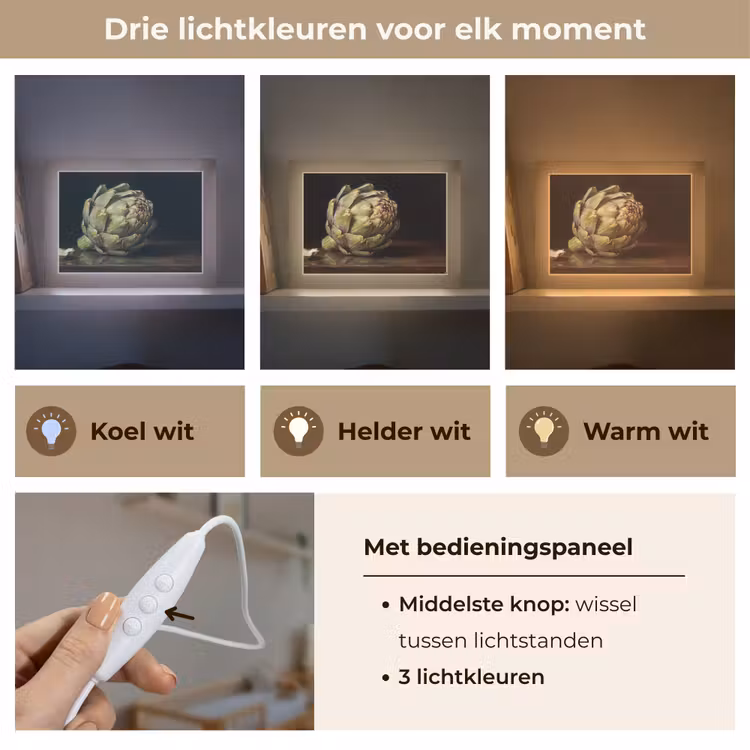 Lightbox - Wandlamp - Artichok - Eten - Klassiek — 7