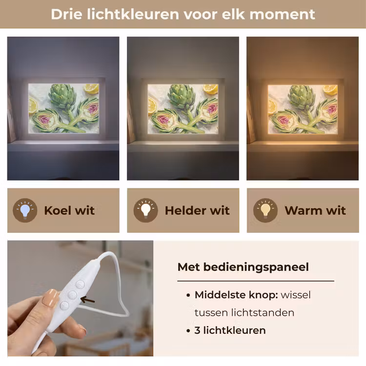 Lightbox - Wandlamp - Artisjok - Citroen - Eten — 7