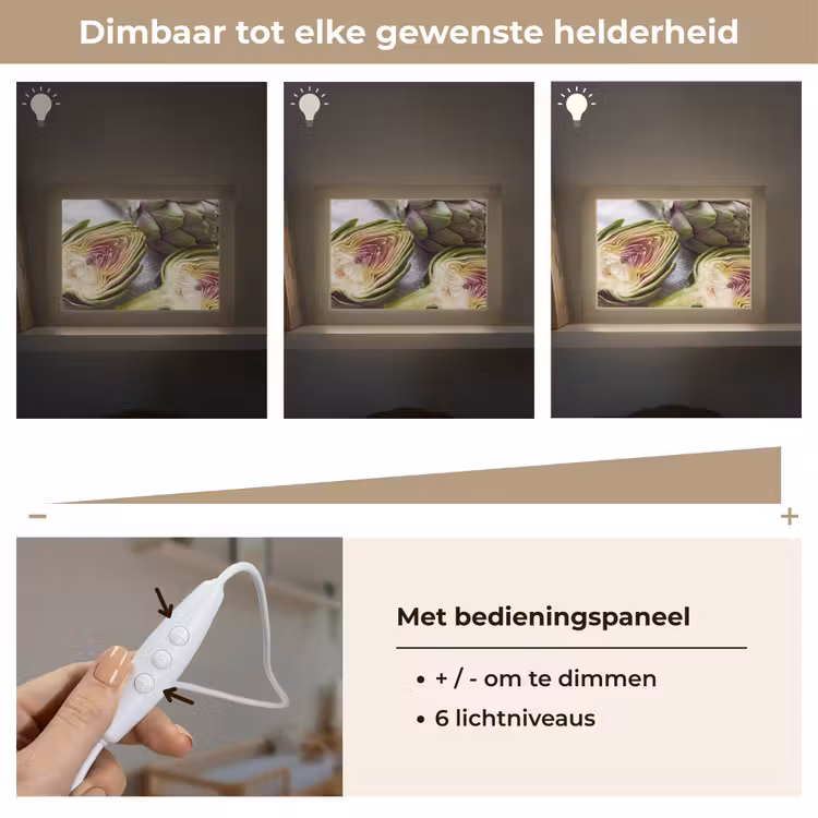 Lightbox - Wandlamp - Artisjok - Doorgesneden - Eten — 8