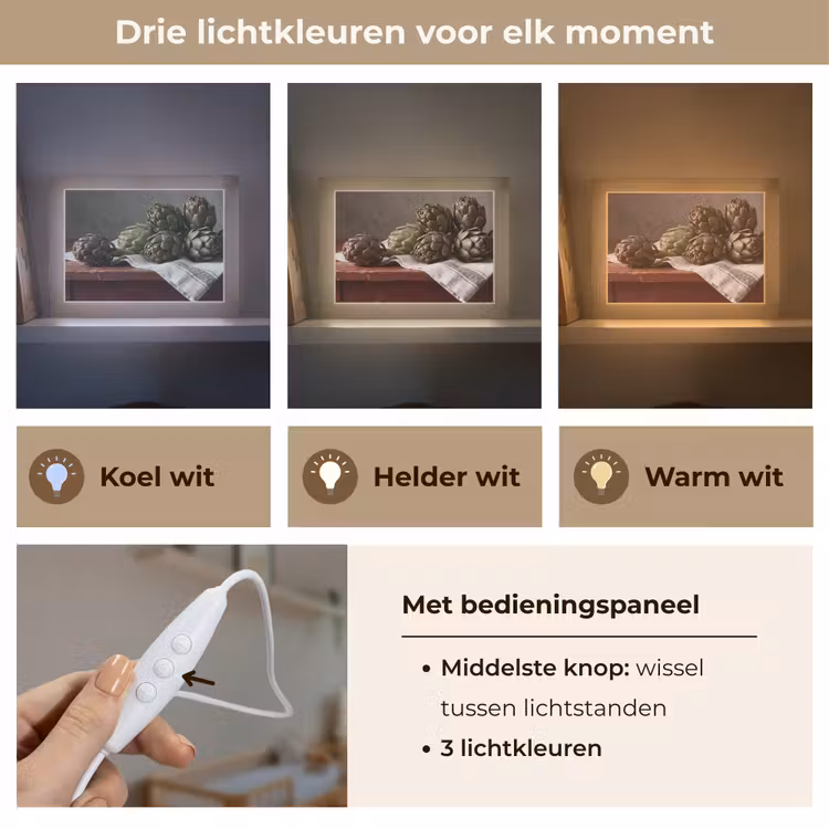 Lightbox - Wandlamp - Artisjok - Eten - Rustiek — 7