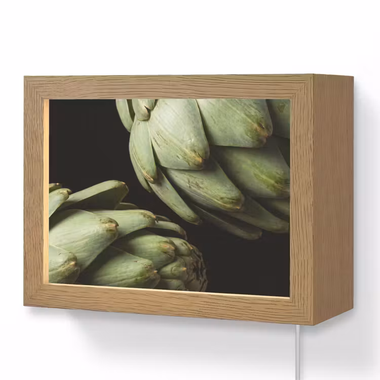 Lightbox - Wandlamp - Artisjok - Groen - Eten — 1
