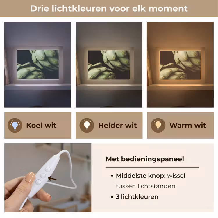 Lightbox - Wandlamp - Artisjok - Groen - Eten — 7