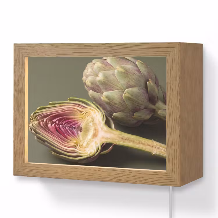 Lightbox - Wandlamp - Artisjok - Paars - Voedsel — 1