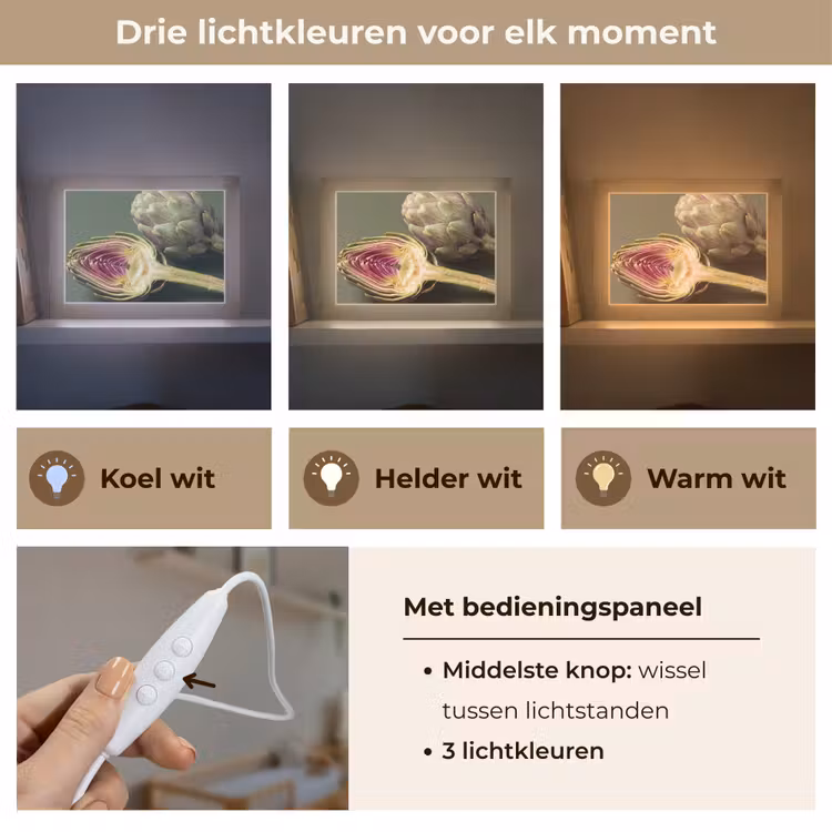 Lightbox - Wandlamp - Artisjok - Paars - Voedsel — 7