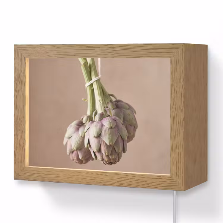 Lightbox - Wandlamp - Artisjokken - Hangend - Groenten — 1