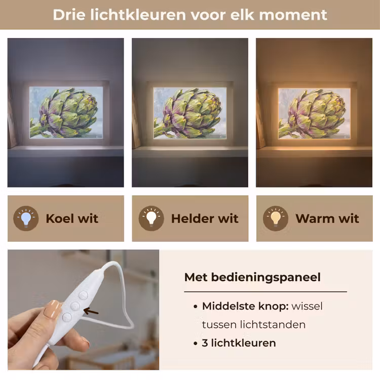 Lightbox - Wandlamp - Eten - Artisjok - Modern — 7