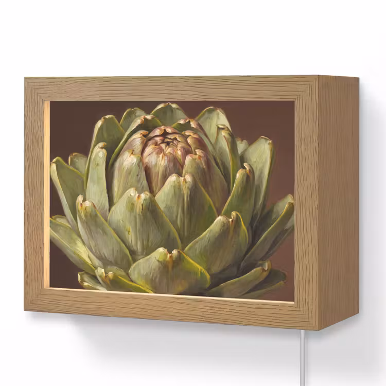 Lightbox - Wandlamp - Groente - Artisjok - Groen — 1