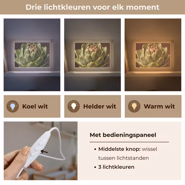Lightbox - Wandlamp - Groente - Artisjok - Groen — 7