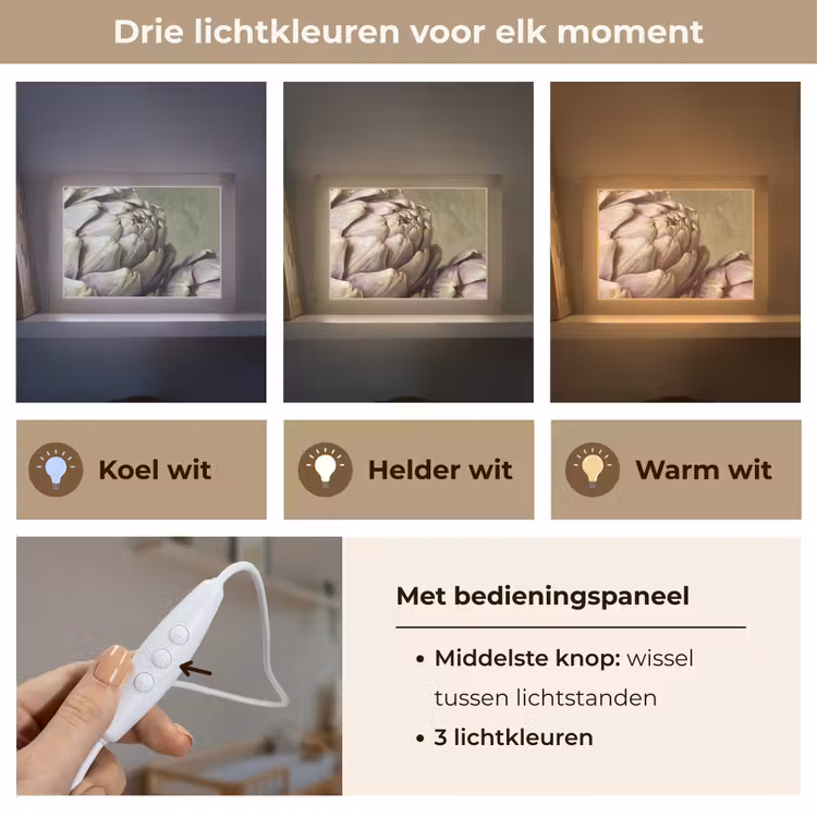 Lightbox - Wandlamp - Groente - Stilleven - Schilderij — 7