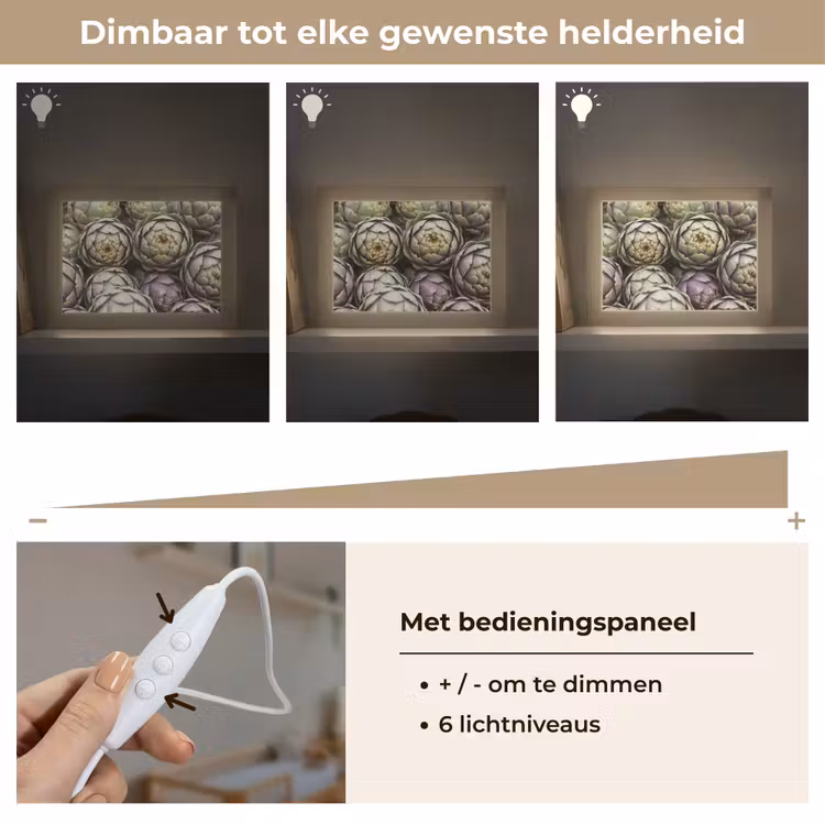 Lightbox - Wandlamp - Groenten - Vers - Eten — 8