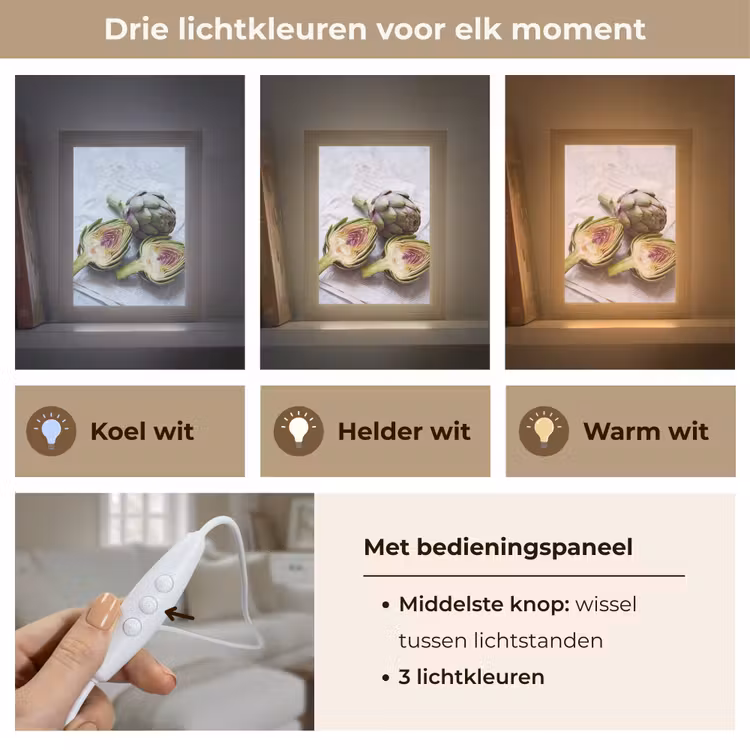 Tafellamp - Artisjok - Doorgesneden - Eten — 6