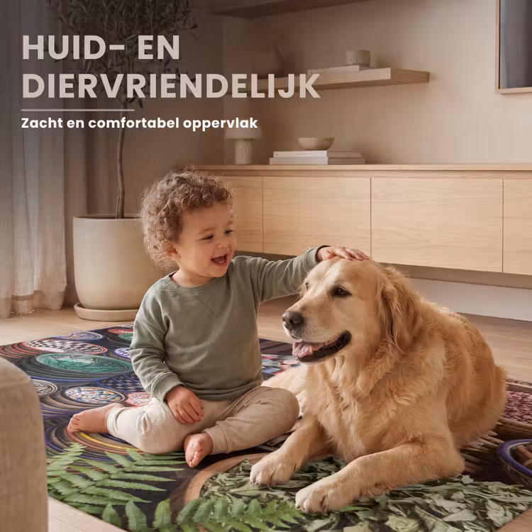 Vloerkleed - Aardewerk - Oosters - Kleurrijk — 6