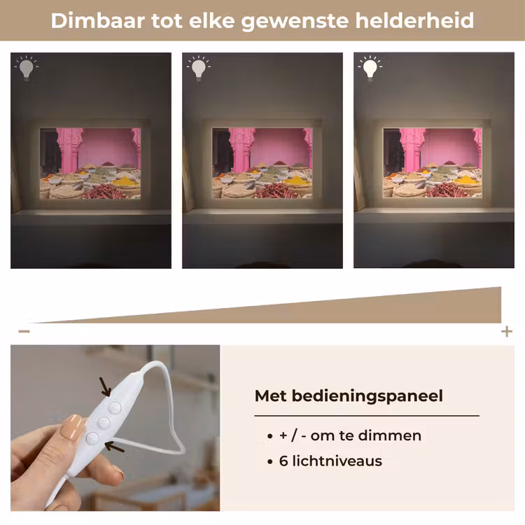 Lightbox - Wandlamp - Kruiden - Markt - Roze — 8