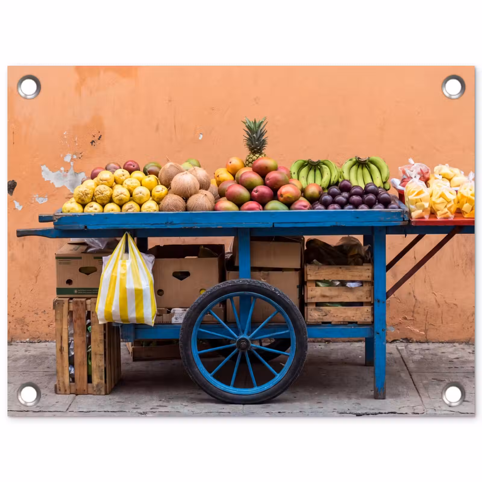 Tuinposter - Fruit - Kar - Straat — 1