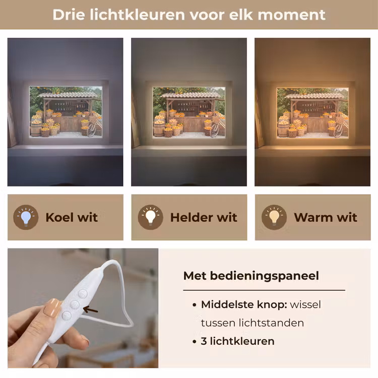 Lightbox - Wandlamp - Fruit - Markt - Landelijk — 7