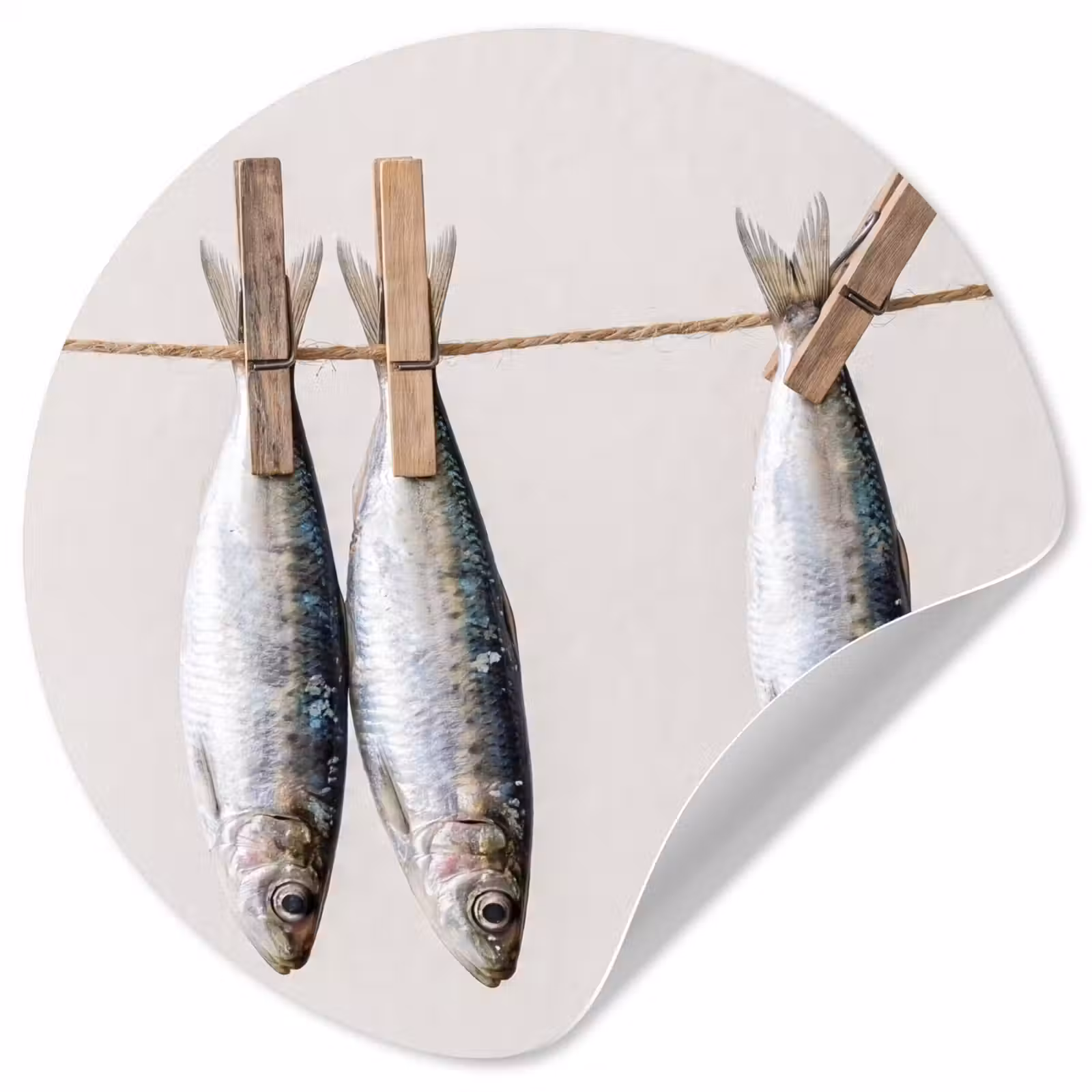 Behangcirkel - Vis - Hangend - Eten — 1