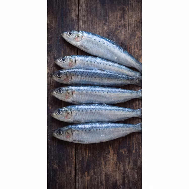Behang - Vis - Hout - Eten — 2