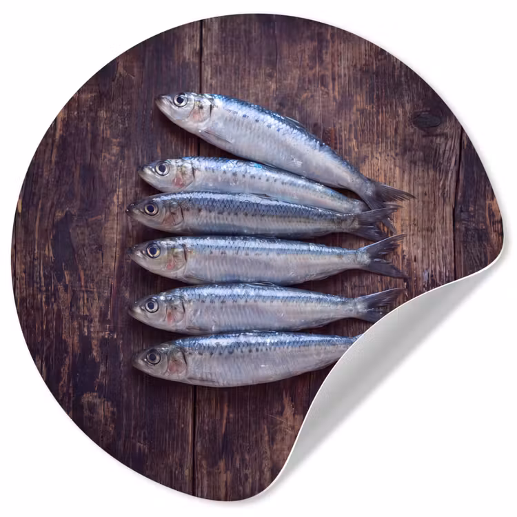 Behangcirkel - Vis - Hout - Eten — 1