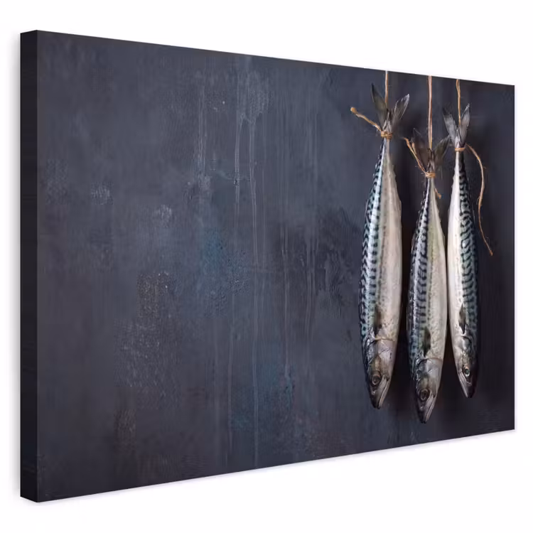 Buiten canvas - Drie vissen - Touw — 1
