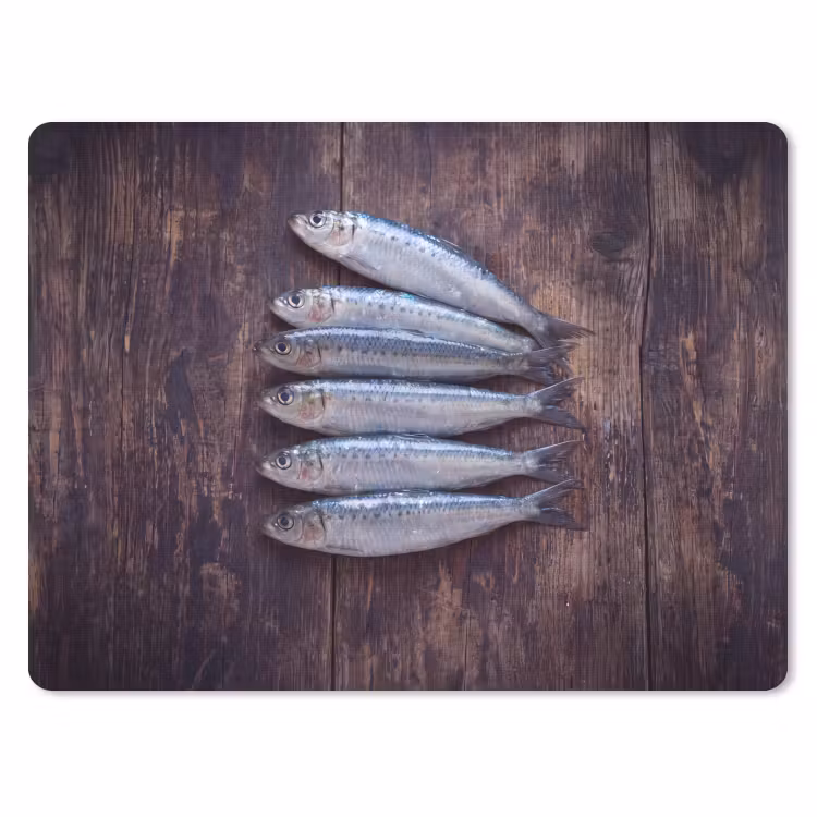 Muismat - Vis - Hout - Eten — 1