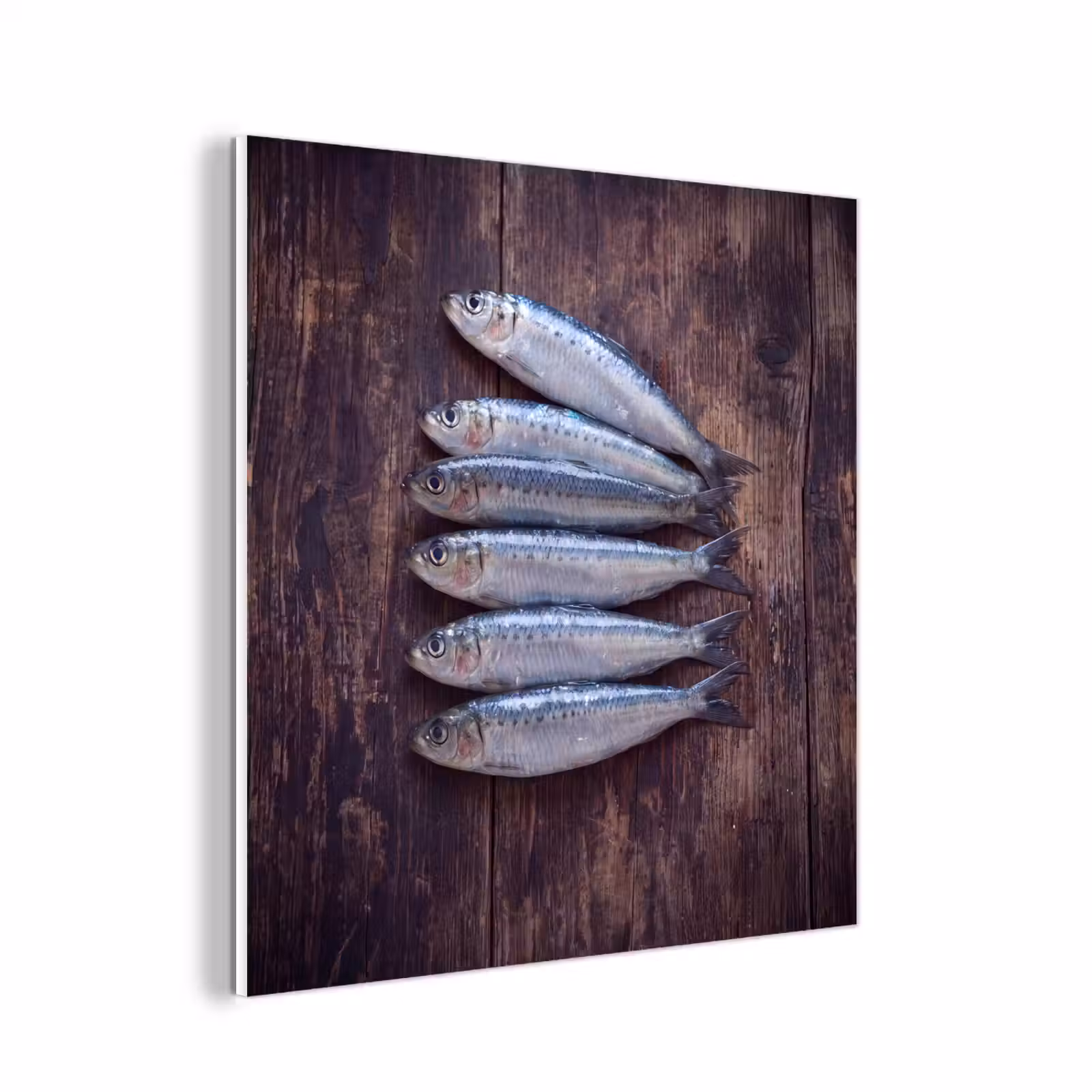 Forex - Vis - Hout - Eten — 1