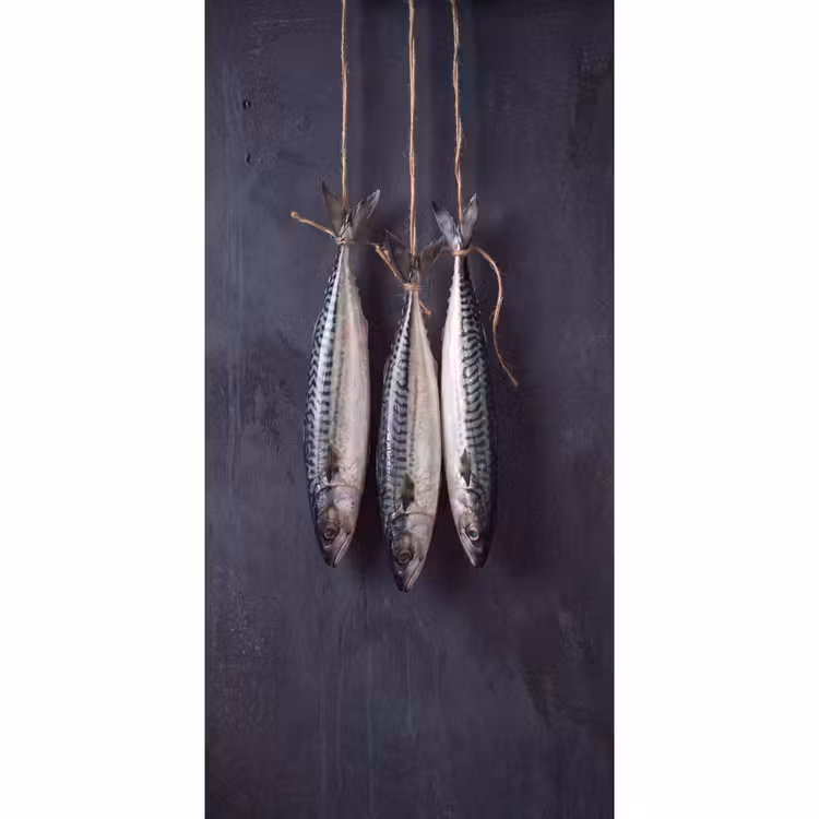 Behang - Drie vissen - Touw — 2