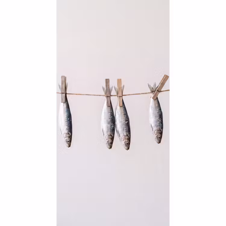 Behang - Vis - Hangend - Eten — 2