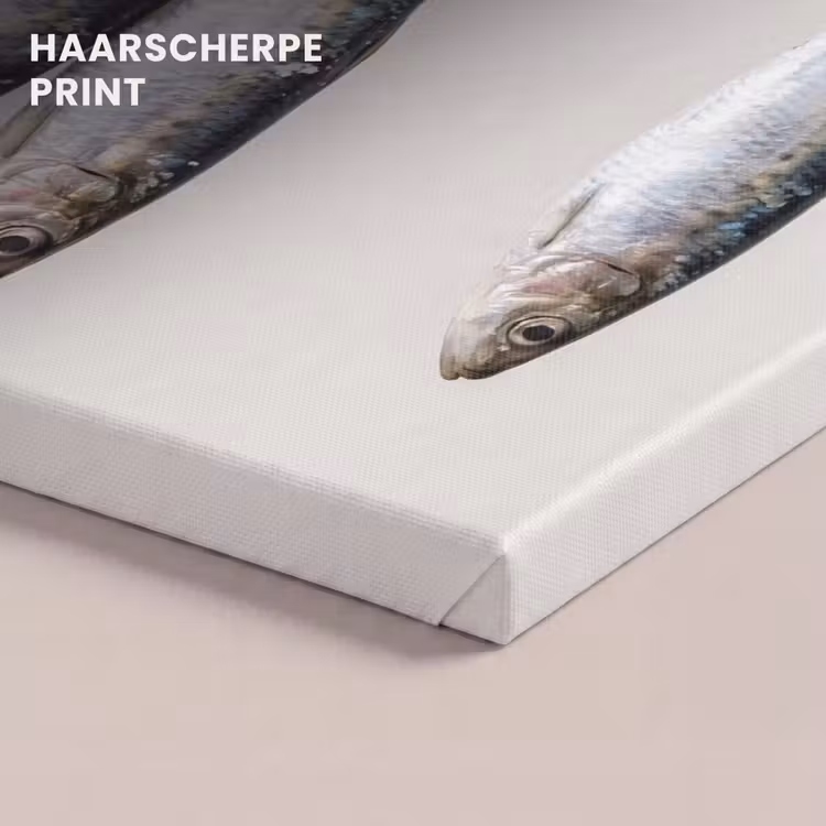 Canvas schilderij - Vis - Hangend - Eten — 4