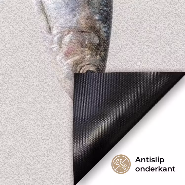 Deurmat - Vis - Hangend - Eten — 6
