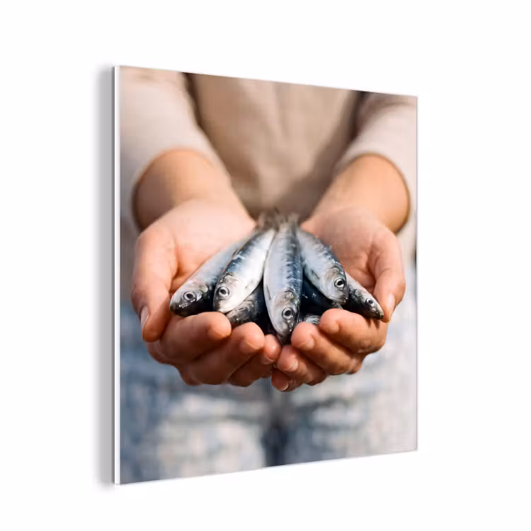Forex - Vis - Handen - Natuur — 1