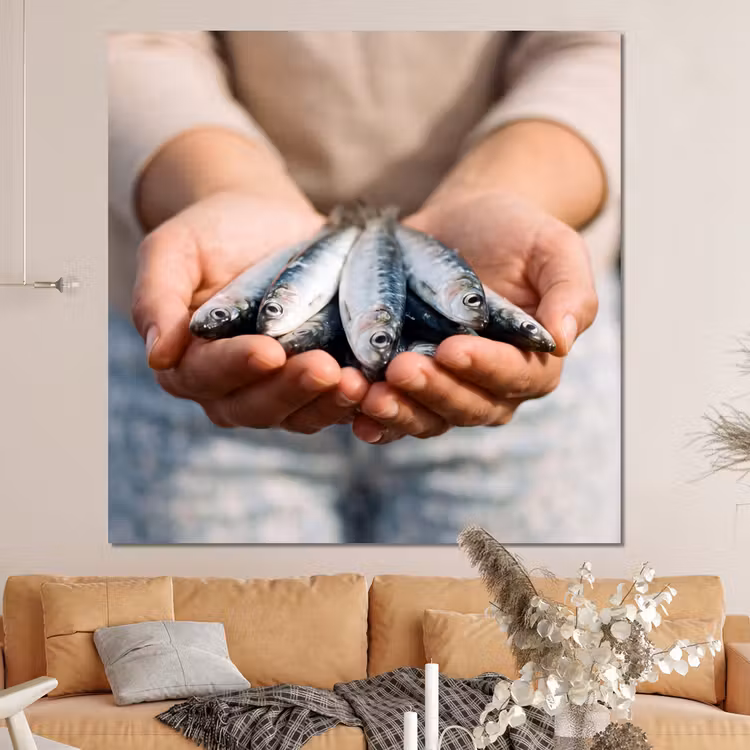 Forex - Vis - Handen - Natuur — 4