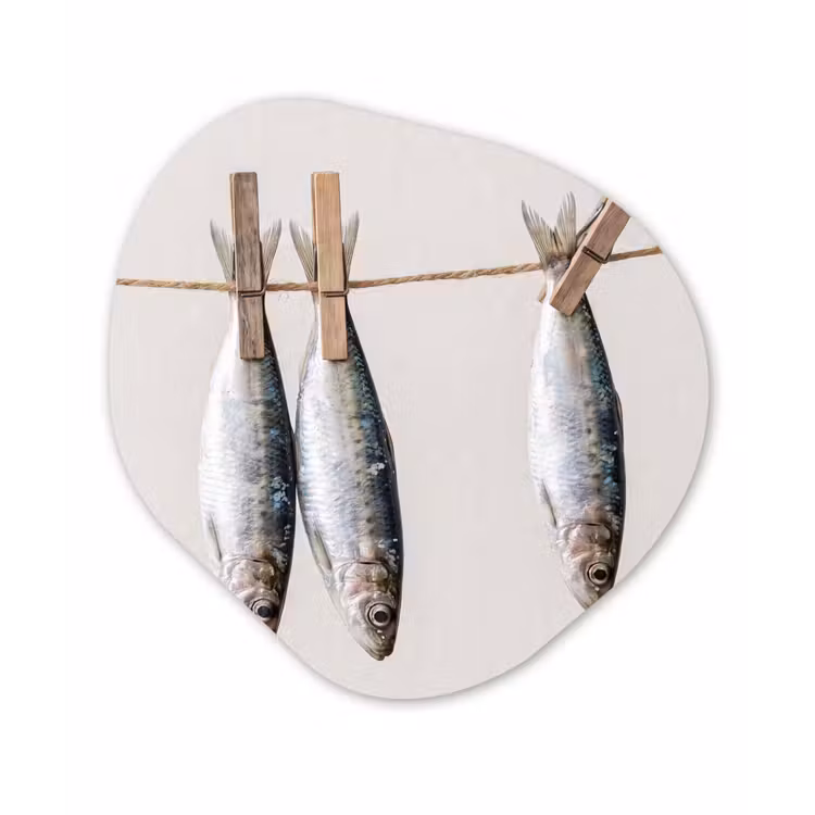 Organisch schilderij - Glas - Vis - Hangend - Eten — 1