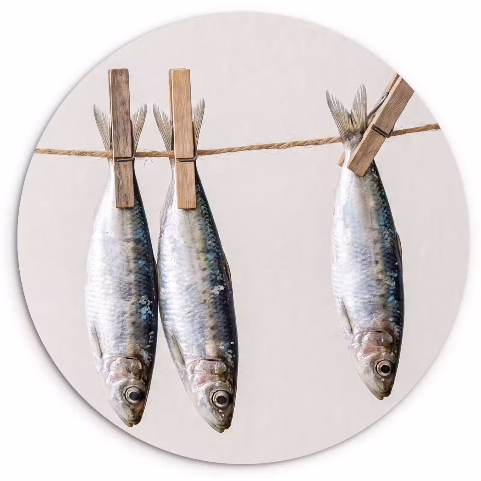 Muurcirkel - Vis - Hangend - Eten — 1