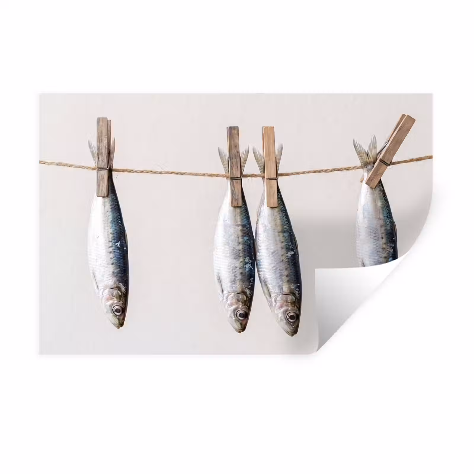 Muursticker - Vis - Hangend - Eten — 1