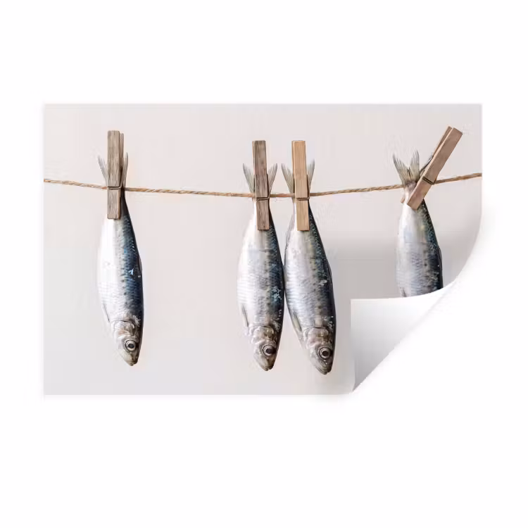 Muursticker - Vis - Hangend - Eten — 1