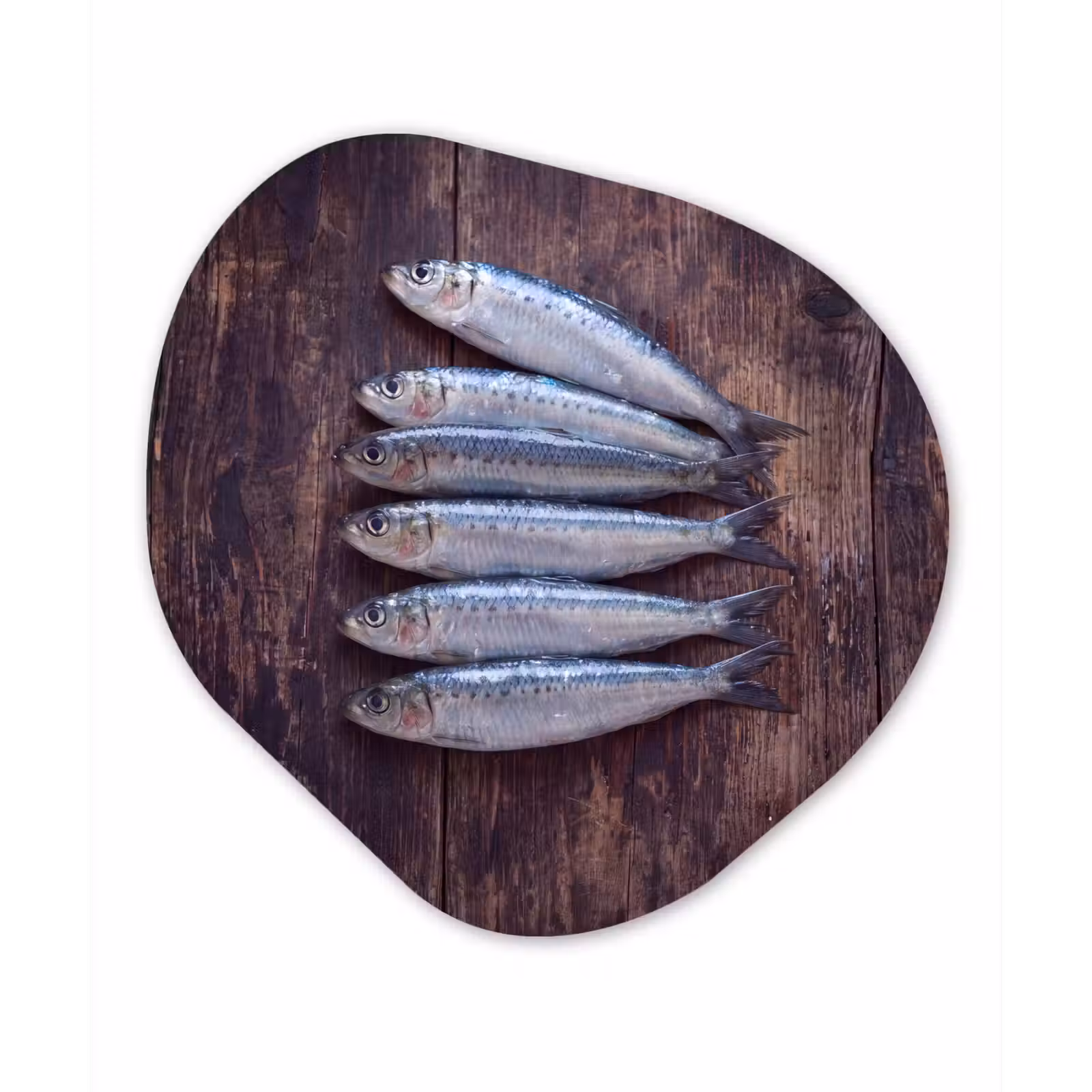 Organisch schilderij - Glas - Vis - Hout - Eten — 1