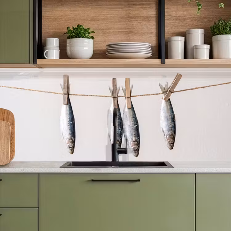 Keuken achterwand - Vis - Hangend - Eten — 5