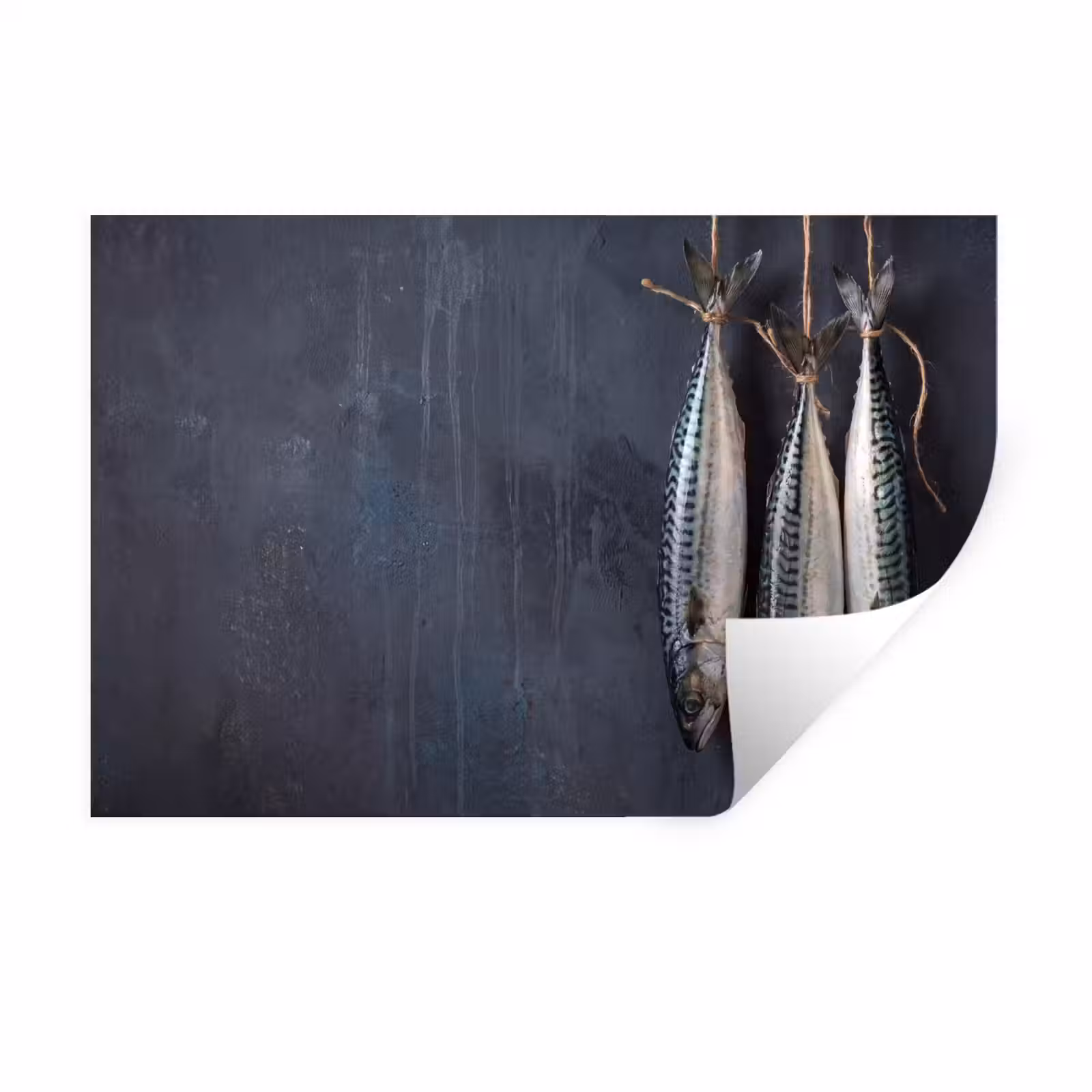 Muursticker - Drie vissen - Touw — 1