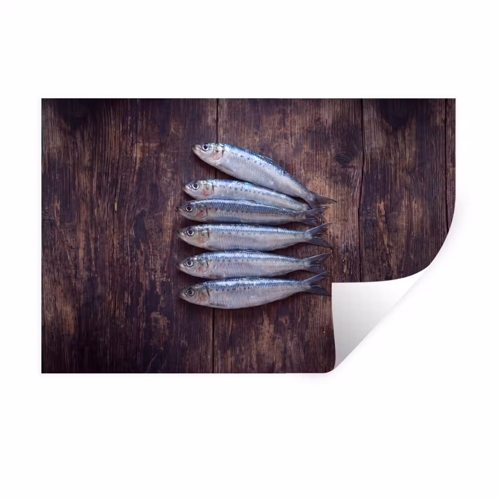 Muursticker - Vis - Hout - Eten — 1